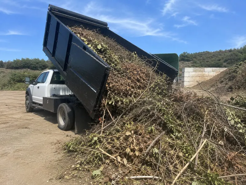 A dump truck tipping a load of brush and green waste at the disposal pile