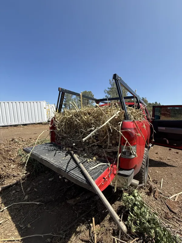 A red pickup bed loaded with brush and dry debris