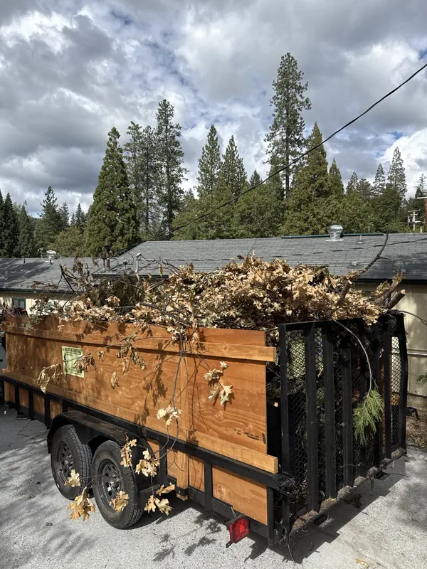 A trailer heaped with yard waste, branches and dry leaves, beside a house with tall pines behind